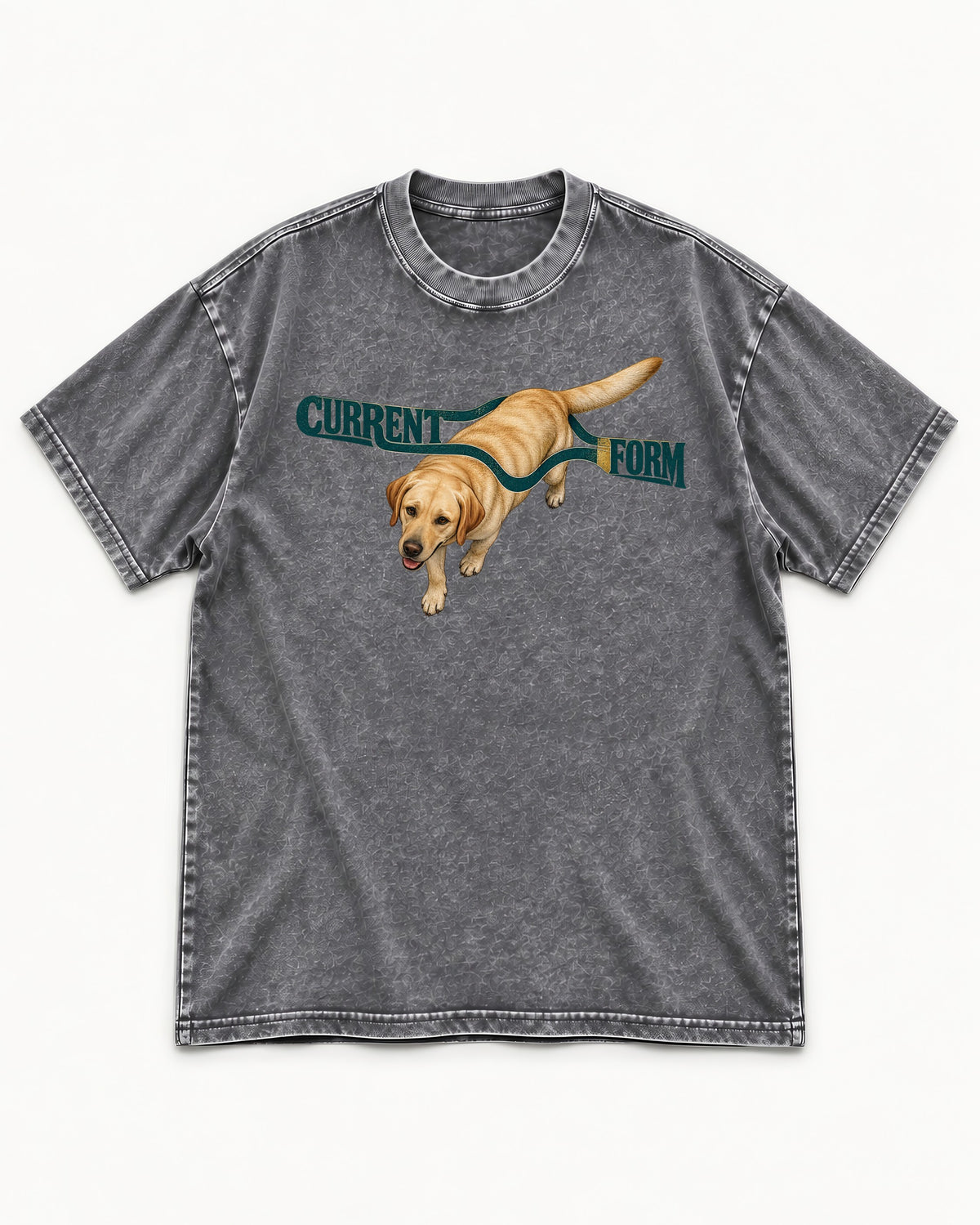Labrador Retriever Current Form Washed Tee in Gray, flat lay product photo