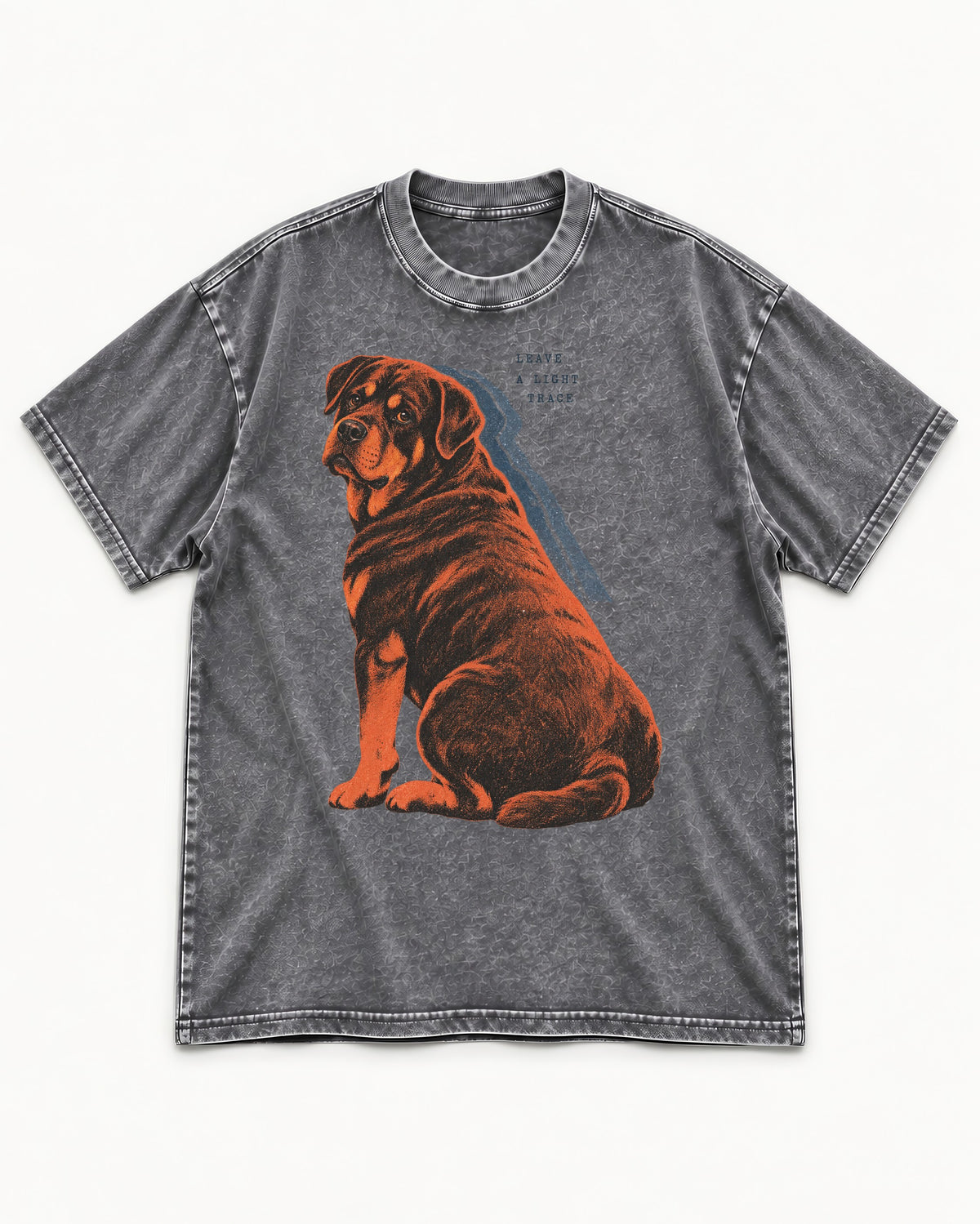 Rottweiler Leave a Light Trace Washed Tee in Gray, flat lay product photo