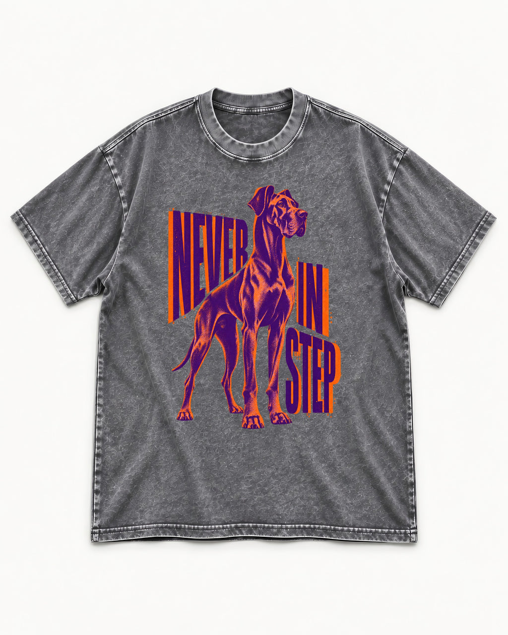 Great Dane Never in Step Standing Graphic Washed Tee in Gray, flat lay product photo