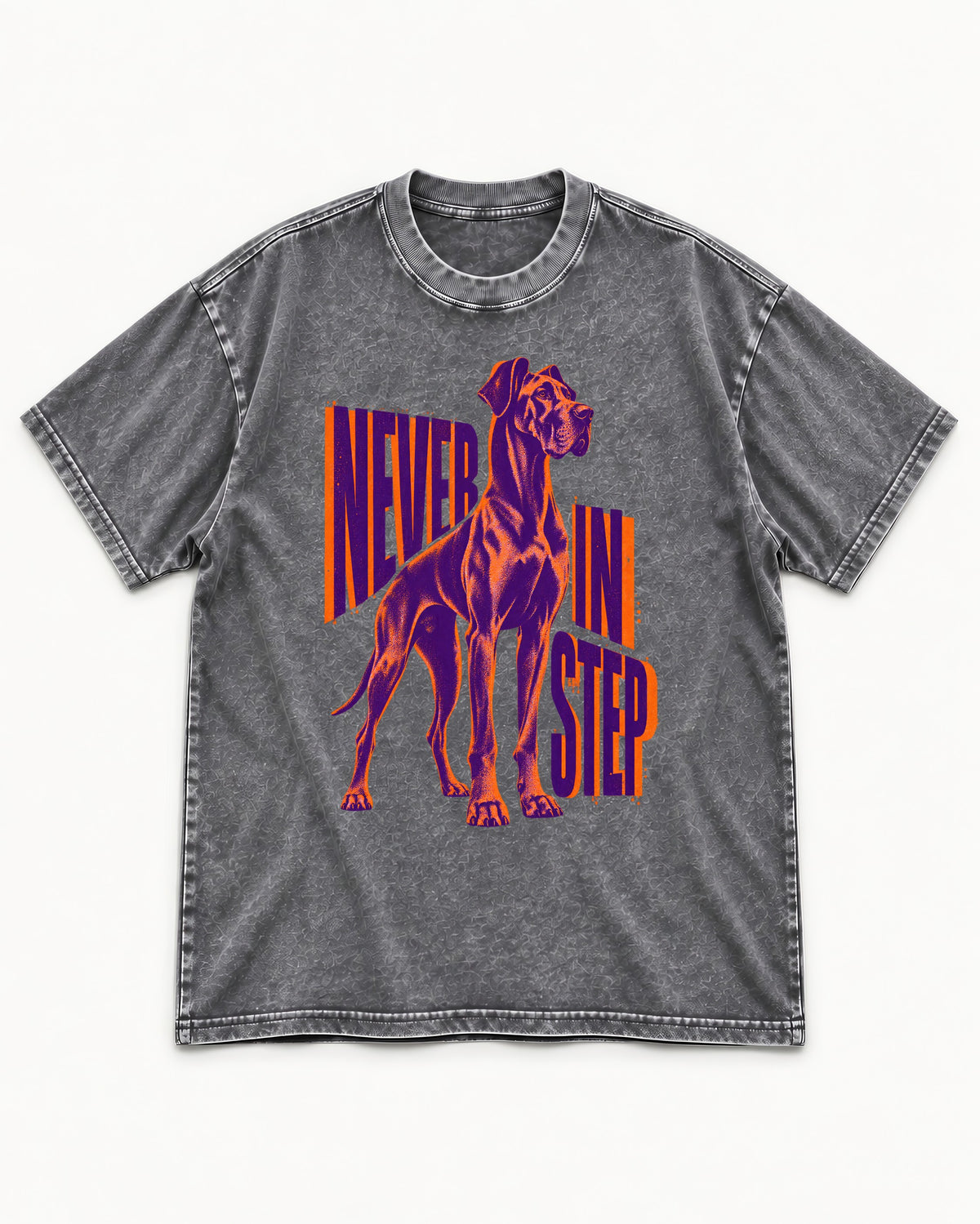 Great Dane Never in Step Standing Graphic Washed Tee in Gray, flat lay product photo