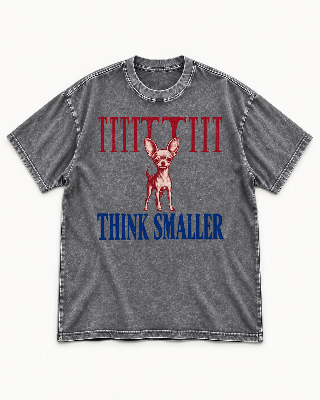 Think Smaller Chihuahua Washed Tee in Gray, flat lay product photo