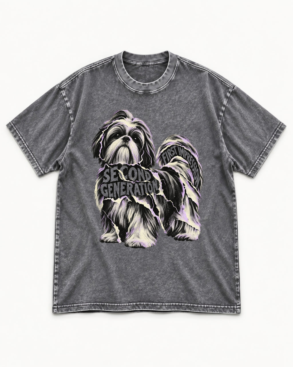 Second Generation Shih Tzu Washed Tee in Gray, flat lay product photo