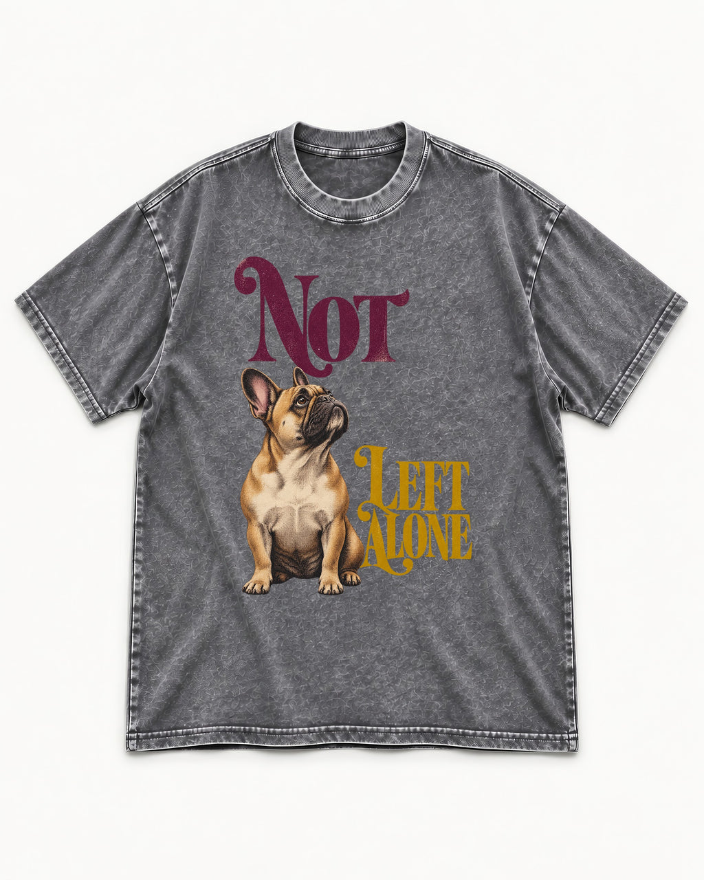 Frenchie Not Left Alone Washed Tee in Gray, flat lay product photo