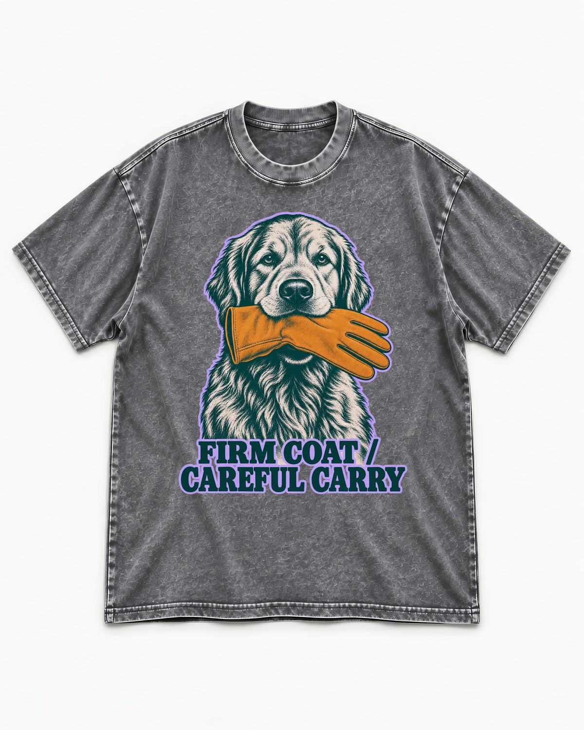 Golden Retriever Firm Coat Careful Carry Washed Tee in Gray, flat lay product photo