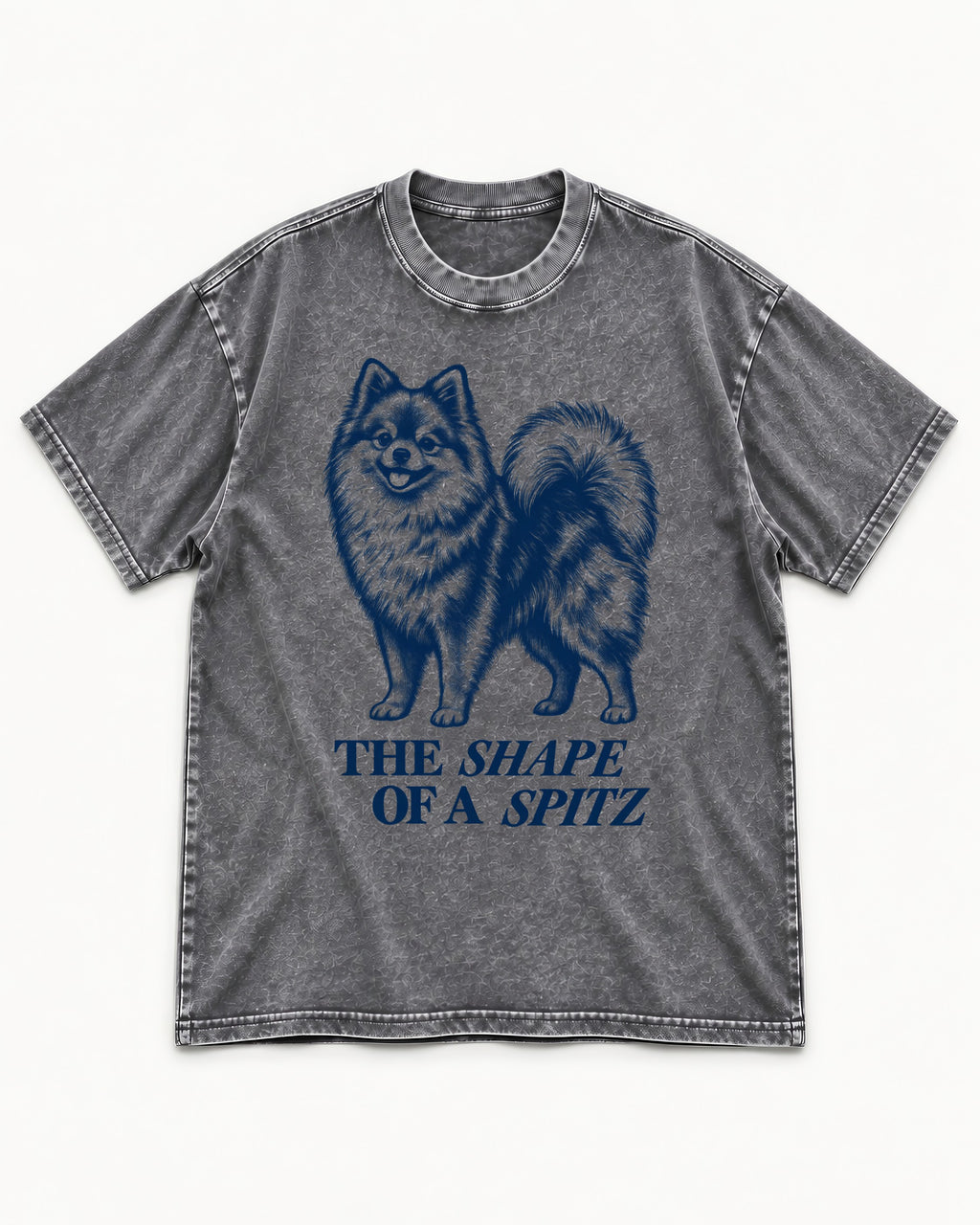 The Shape of a Pomeranian Washed Tee in Gray, flat lay product photo
