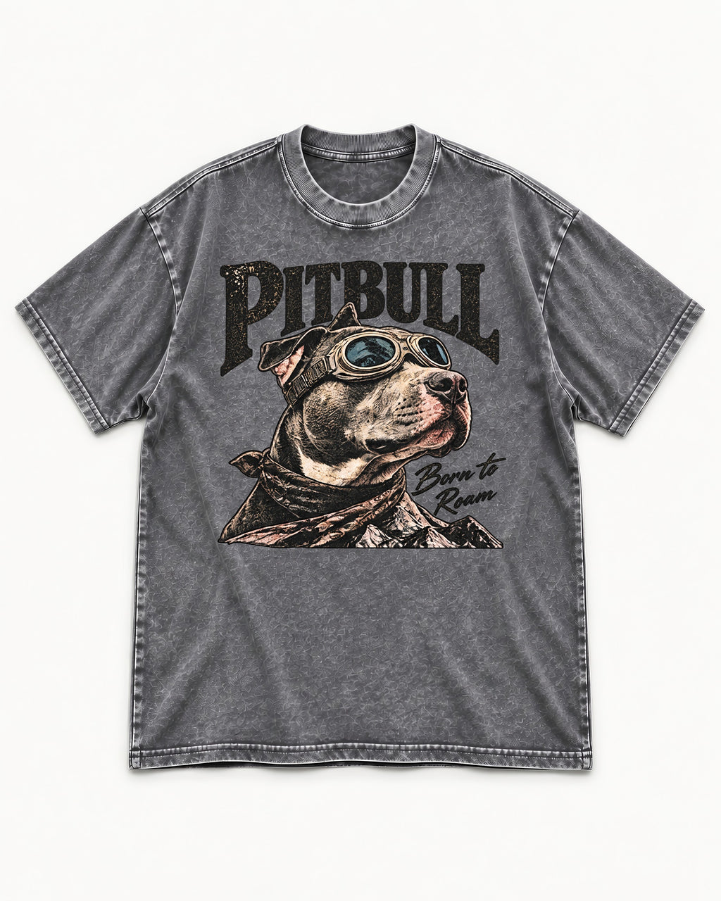 Pitbull Born to Roam Washed Tee in Gray, flat lay product photo