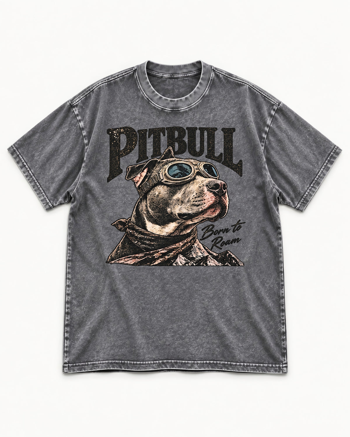 Pitbull Born to Roam Washed Tee in Gray, flat lay product photo