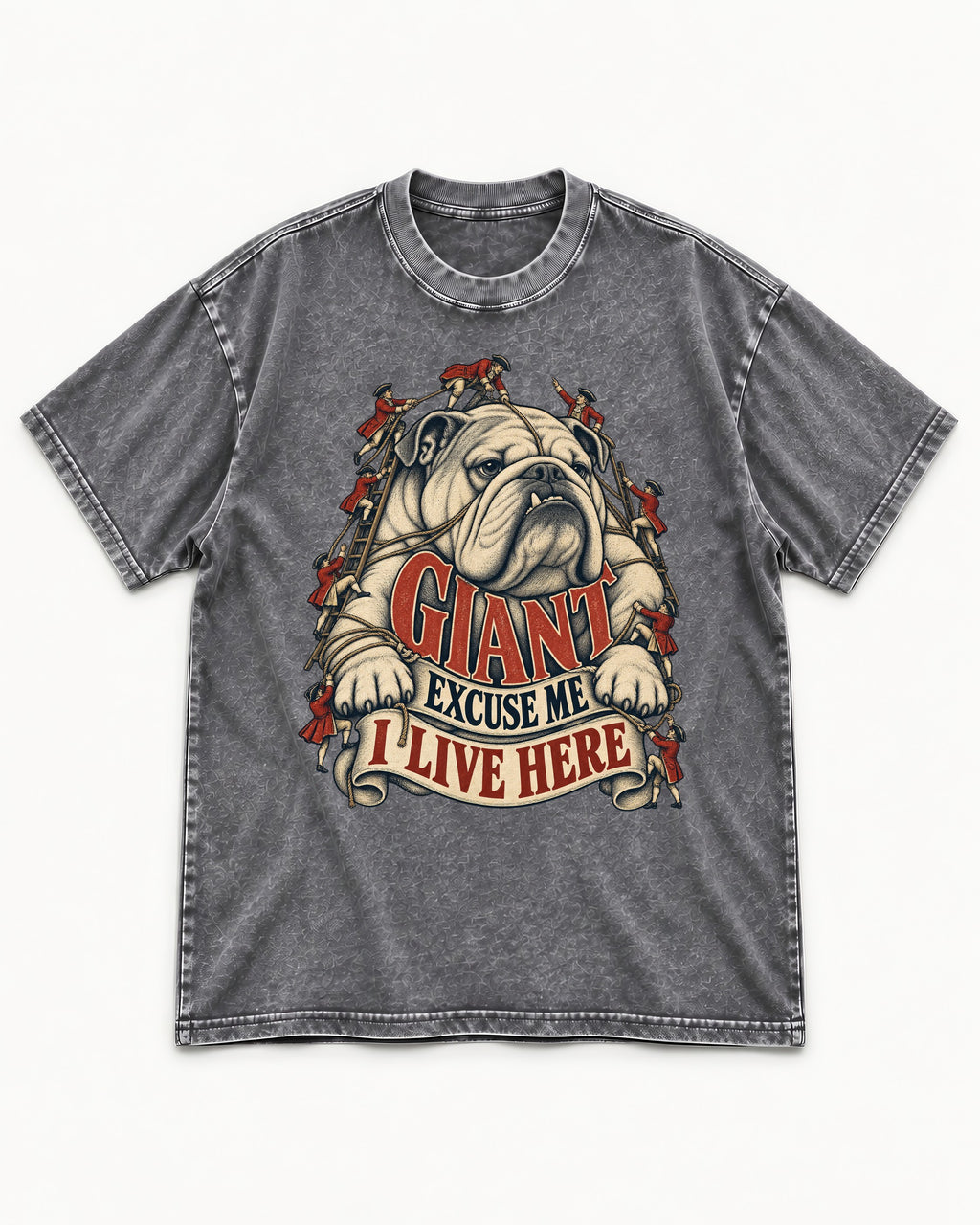 English Bulldog I Live Here Washed Tee in Gray, flat lay product photo