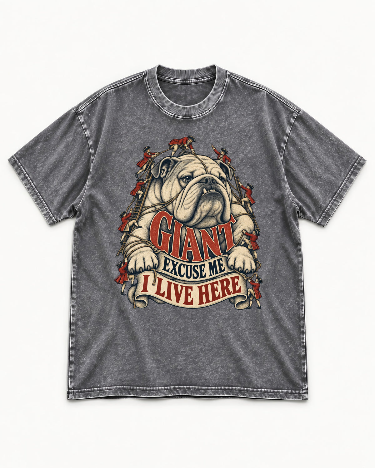 English Bulldog I Live Here Washed Tee in Gray, flat lay product photo