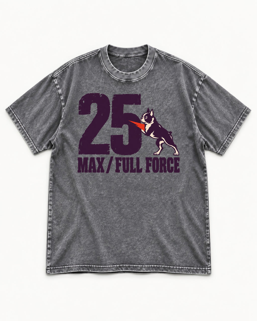 Boston Terrier Full Force Washed Tee in Gray, flat lay product photo