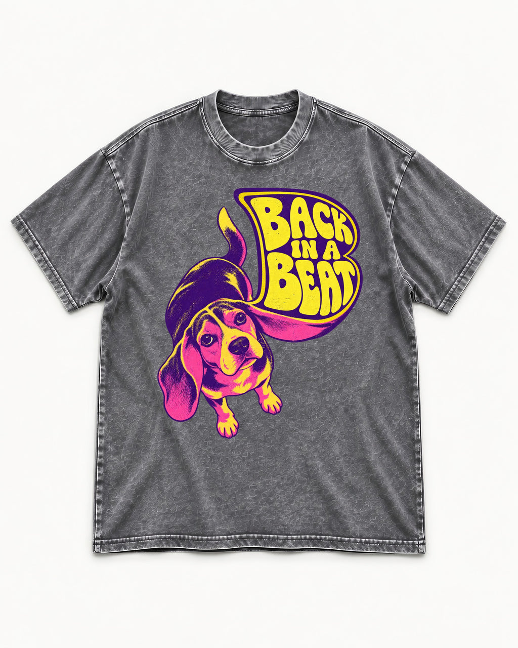 Groovy Beagle Back In A Beat Washed Tee in Gray, flat lay product photo