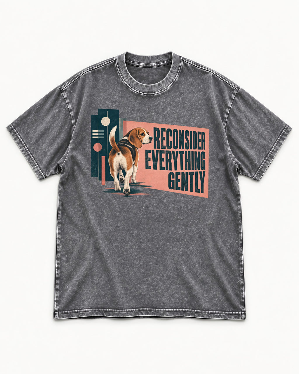Beagle Reconsider Everything Gently Retro Graphic Washed Tee in Gray, flat lay product photo