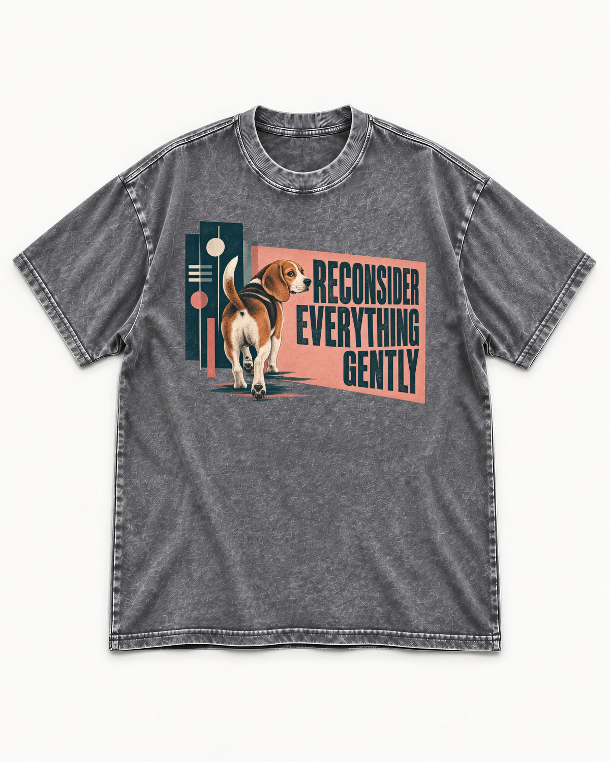 Beagle Reconsider Everything Gently Retro Graphic Washed Tee in Gray, flat lay product photo