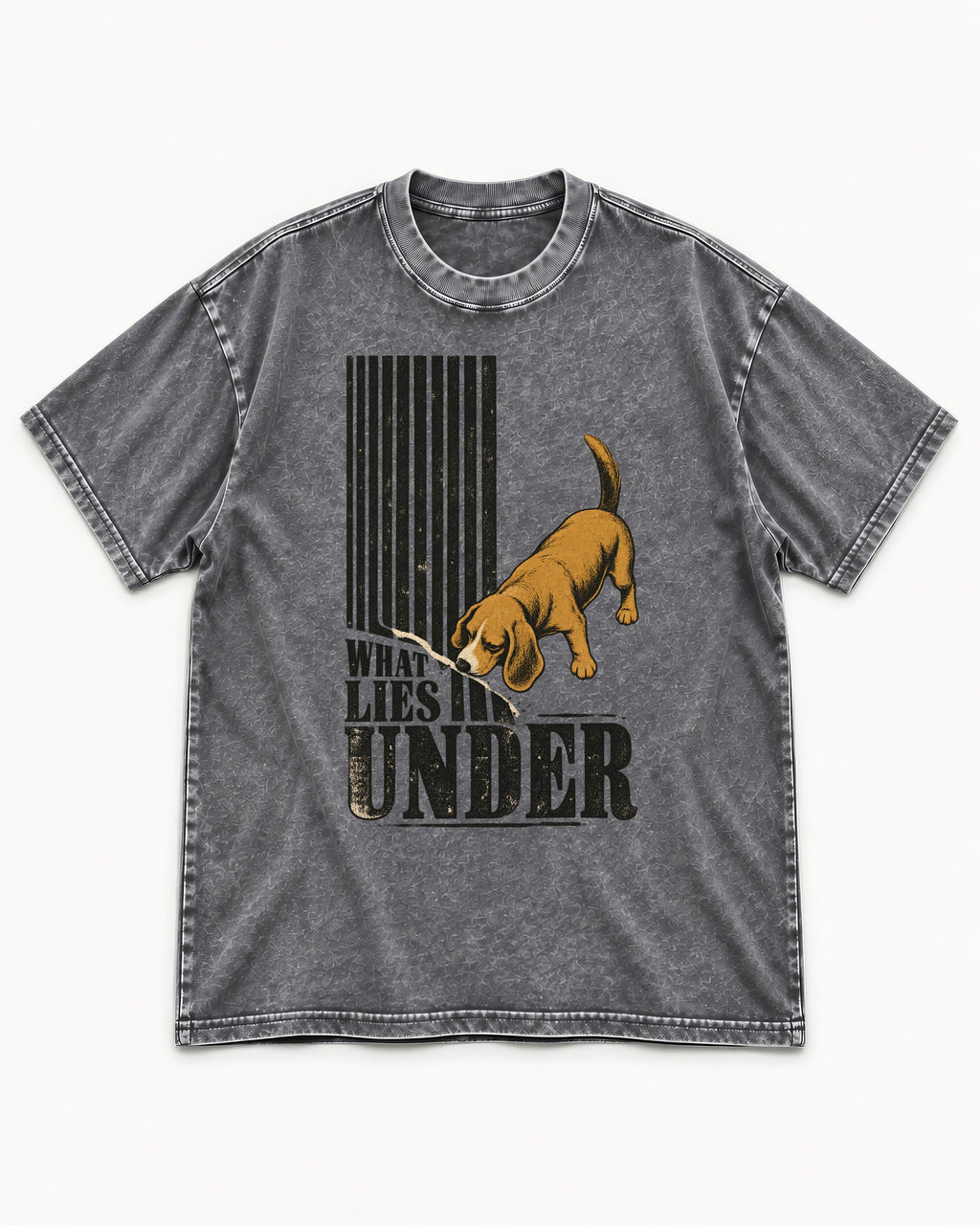 Beagle Knows What Lies Under Washed Tee in Gray, flat lay product photo