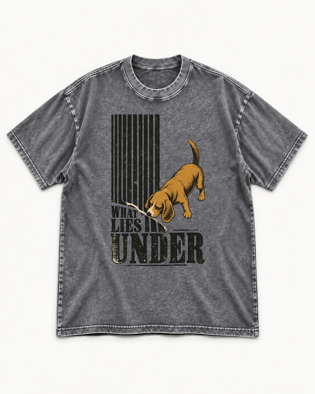 Beagle Knows What Lies Under Washed Tee in Gray, flat lay product photo