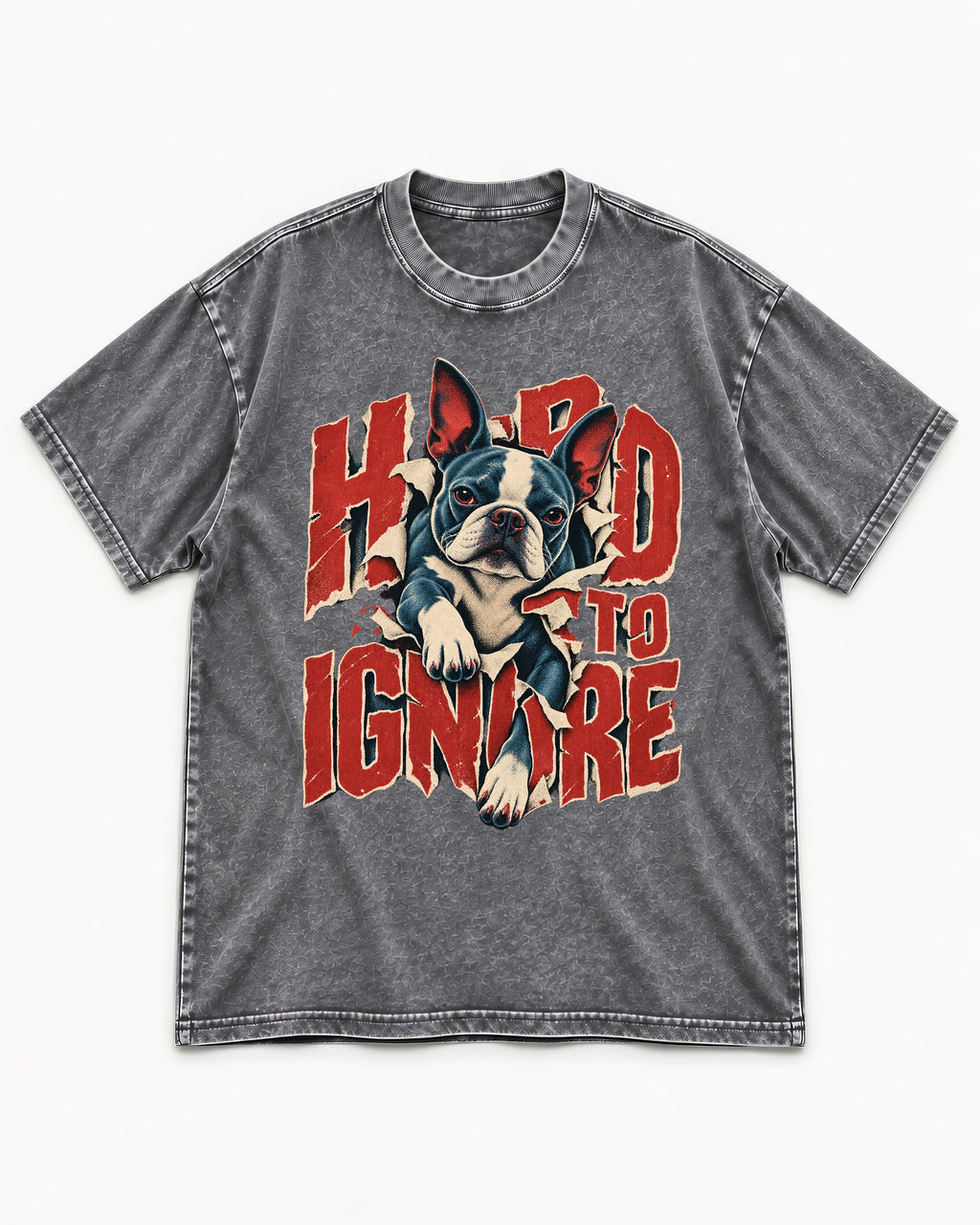 Hard to Ignore Boston Terrier Graphic Washed Tee in Gray, flat lay product photo