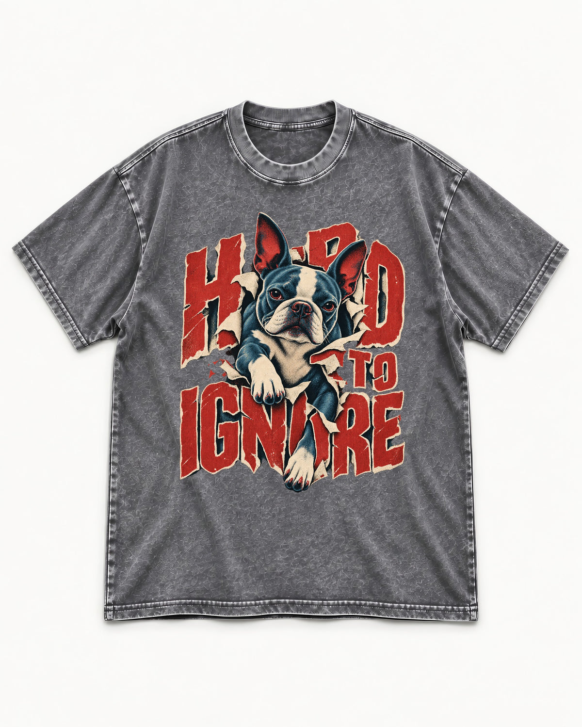 Hard to Ignore Boston Terrier Graphic Washed Tee in Gray, flat lay product photo