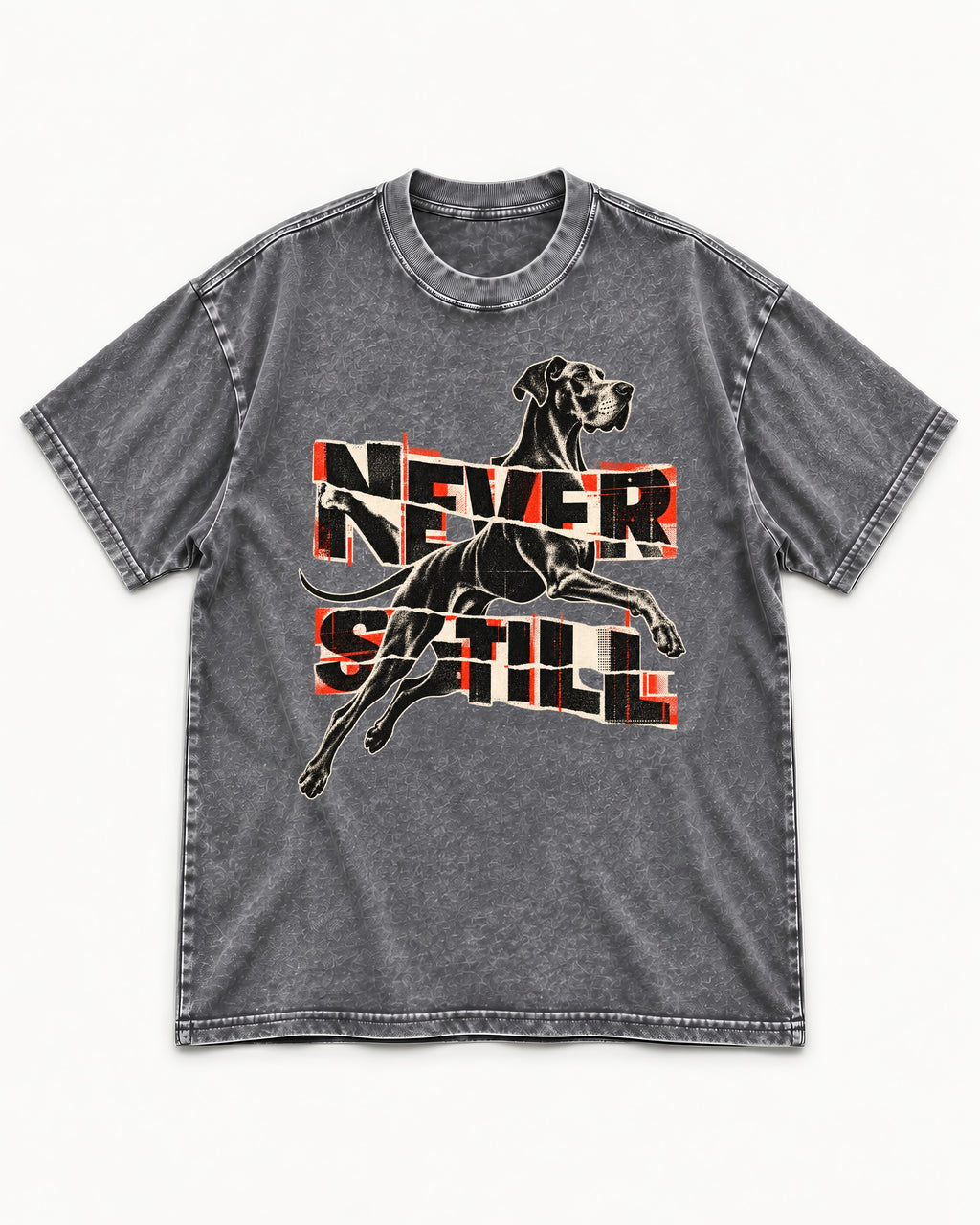 Great Dane Never Still Leaping Collage Graphic Washed Tee in Gray, flat lay product photo