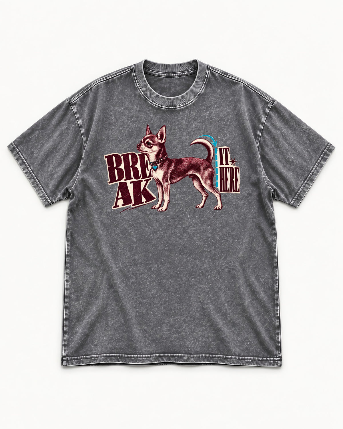 Chihuahua Break It Here Perforation Graphic Washed Tee in Gray, flat lay product photo