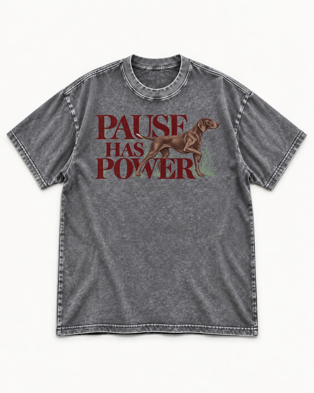 Pause Has Power German Shorthaired Pointer Washed Tee in Gray, flat lay product photo