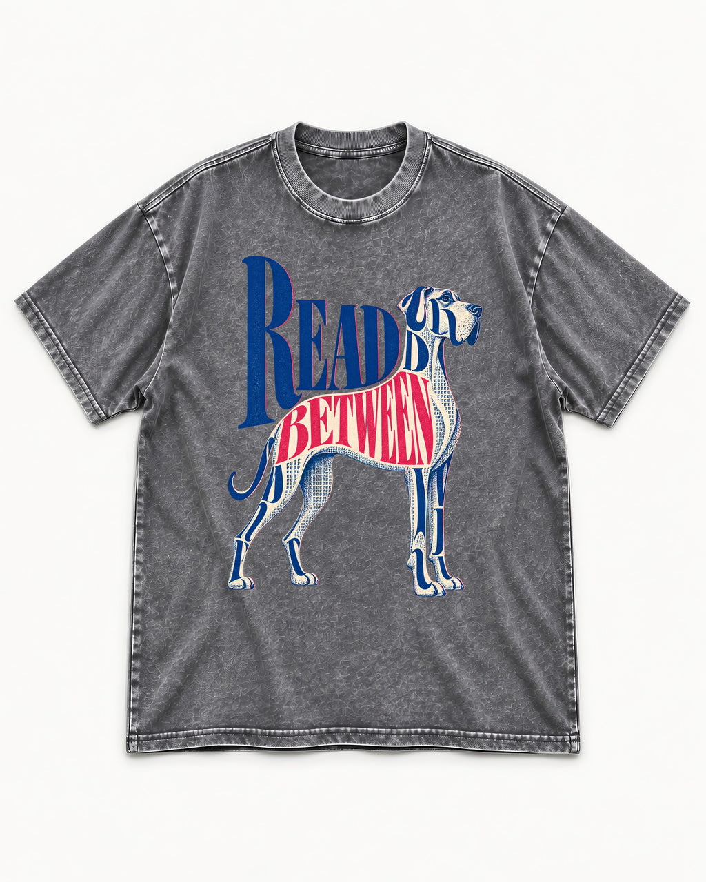 Read Between the Lines Great Dane Washed Tee in Gray, flat lay product photo