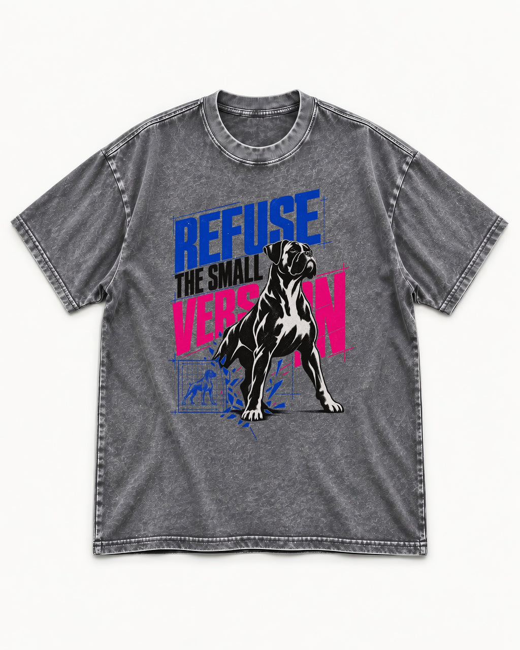 Boxer Refuse the Small Version Washed Tee in Gray, flat lay product photo