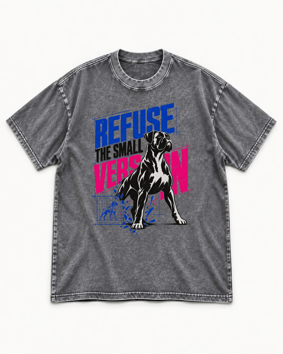 Boxer Refuse the Small Version Washed Tee in Gray, flat lay product photo
