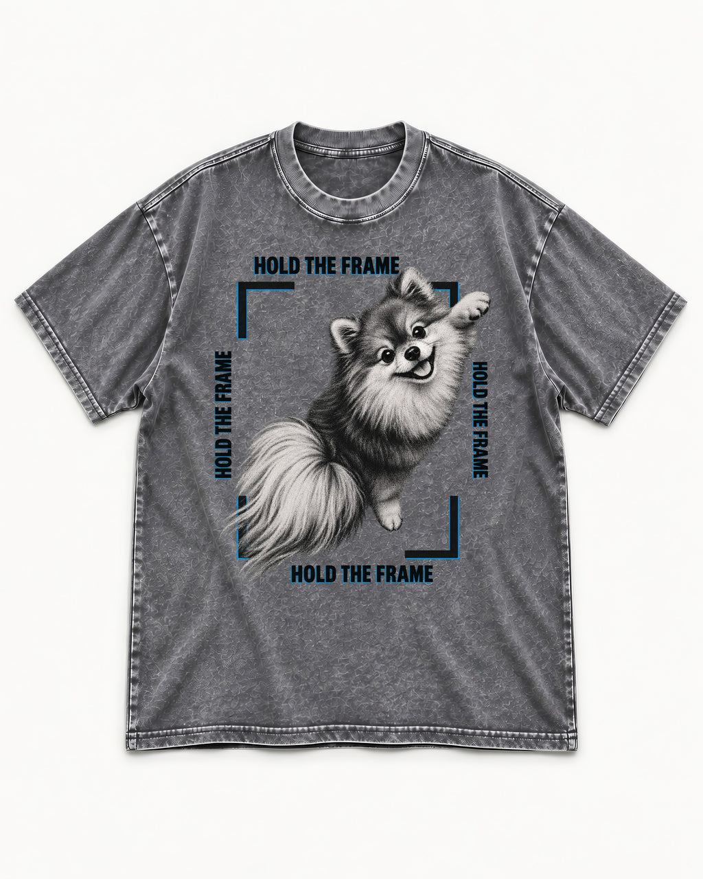 Hold the Frame Pomeranian Washed Tee in Gray, flat lay product photo