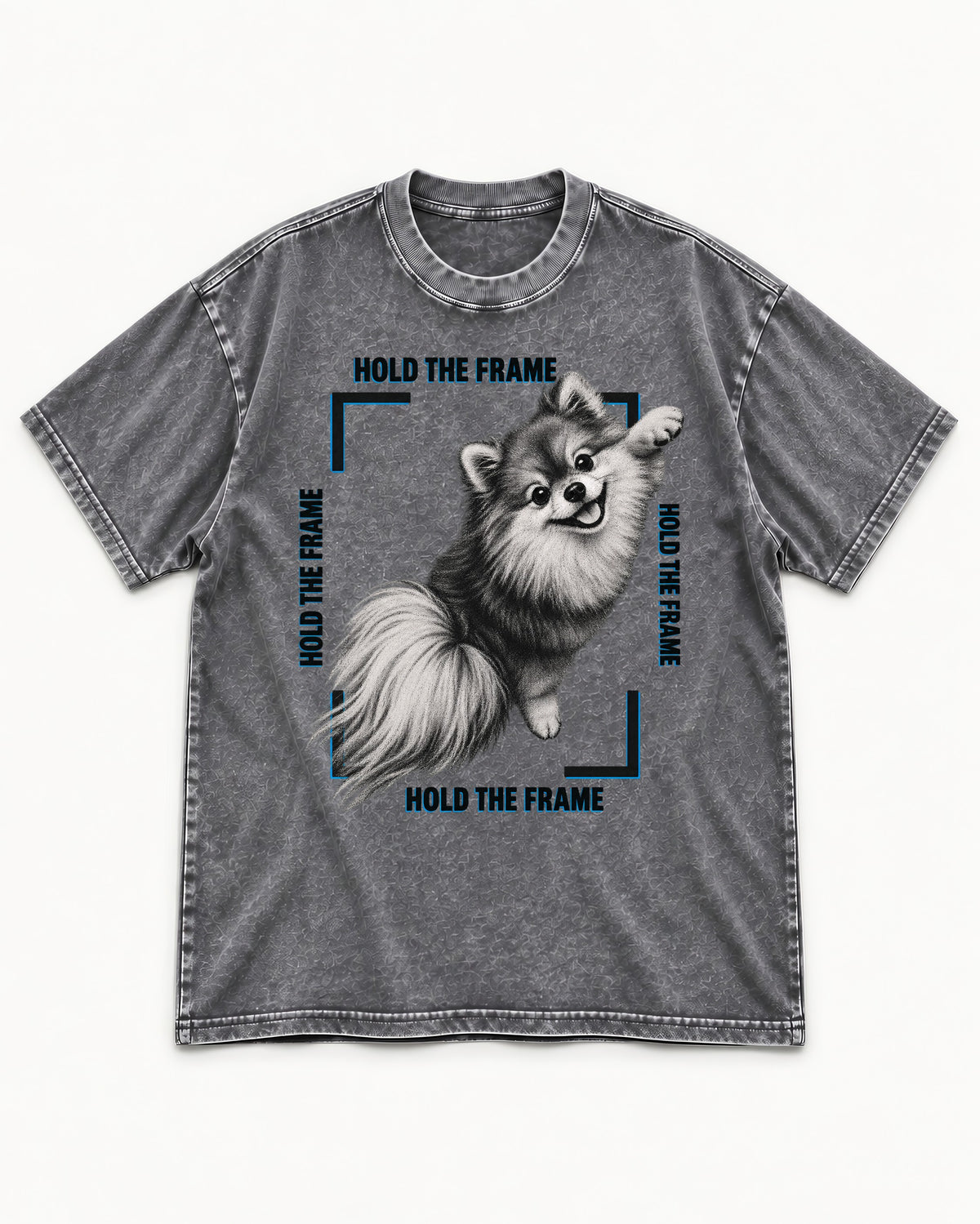 Hold the Frame Pomeranian Washed Tee in Gray, flat lay product photo