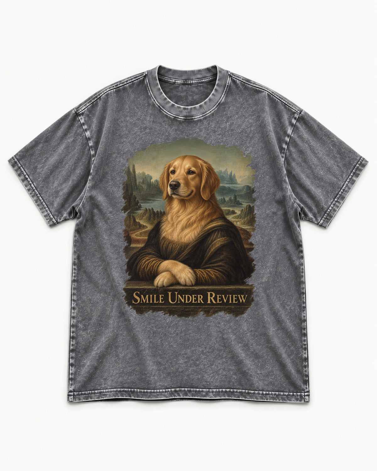 Smile Under Review Renaissance Portrait Golden Retriever Graphic Washed Tee in Gray, flat lay product photo