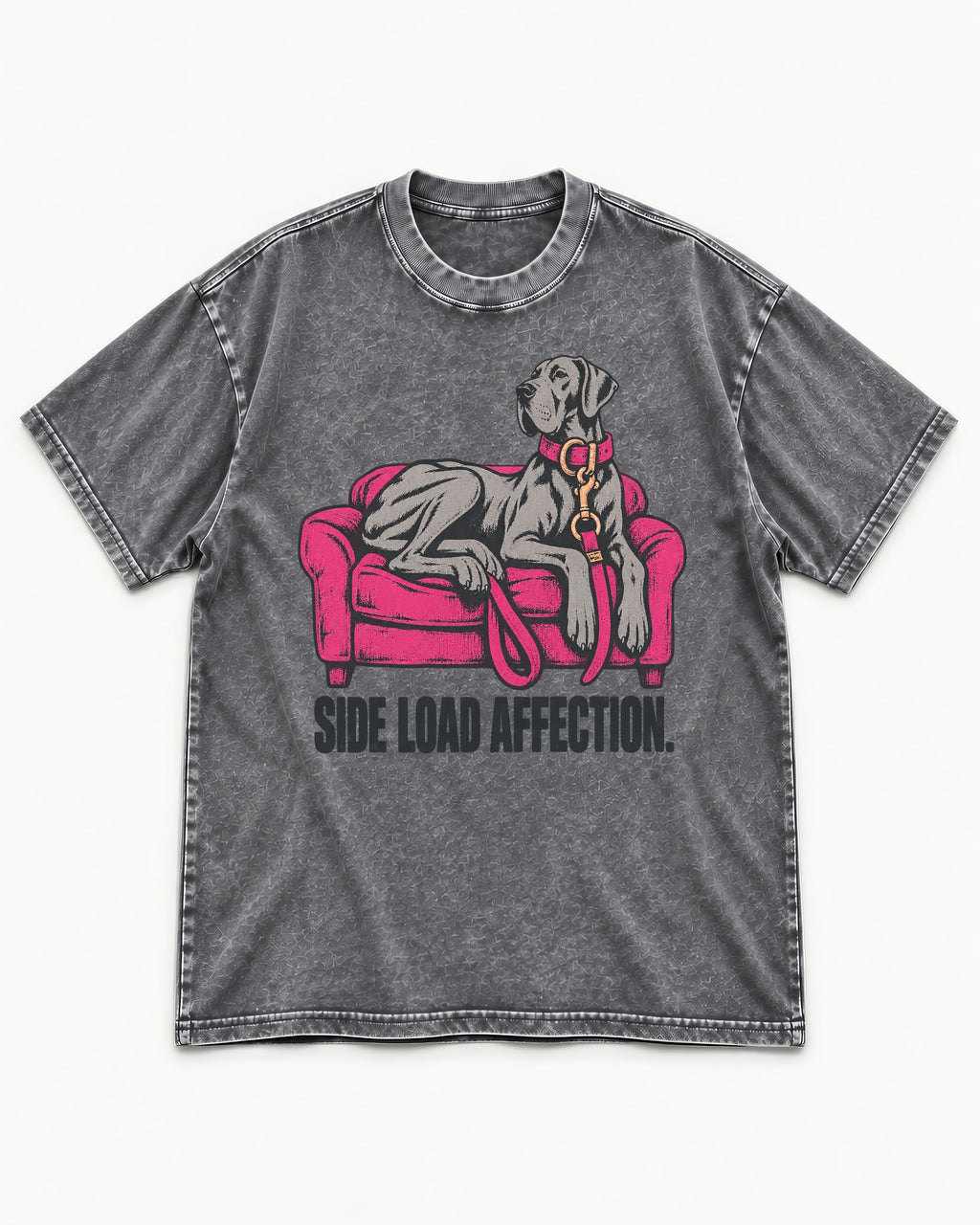 Great Dane Side Load Affection Washed Tee in Gray, flat lay product photo