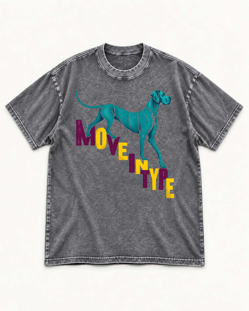 Great Dane Move in Type Washed Tee in Gray, flat lay product photo