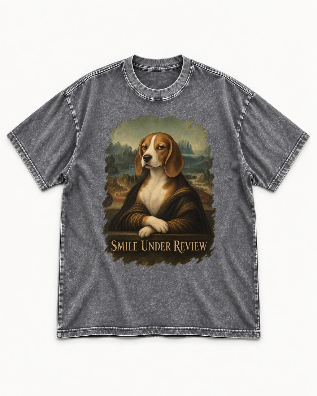 Smile Under Review Beagle Portrait Washed Tee in Gray, flat lay product photo
