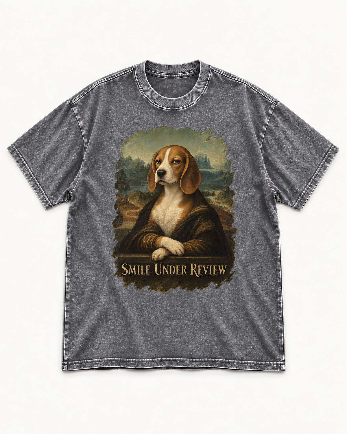 Smile Under Review Beagle Portrait Washed Tee in Gray, flat lay product photo