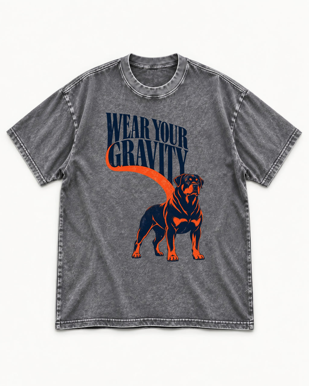 Wear Your Gravity Rottweiler Washed Tee in Gray, flat lay product photo