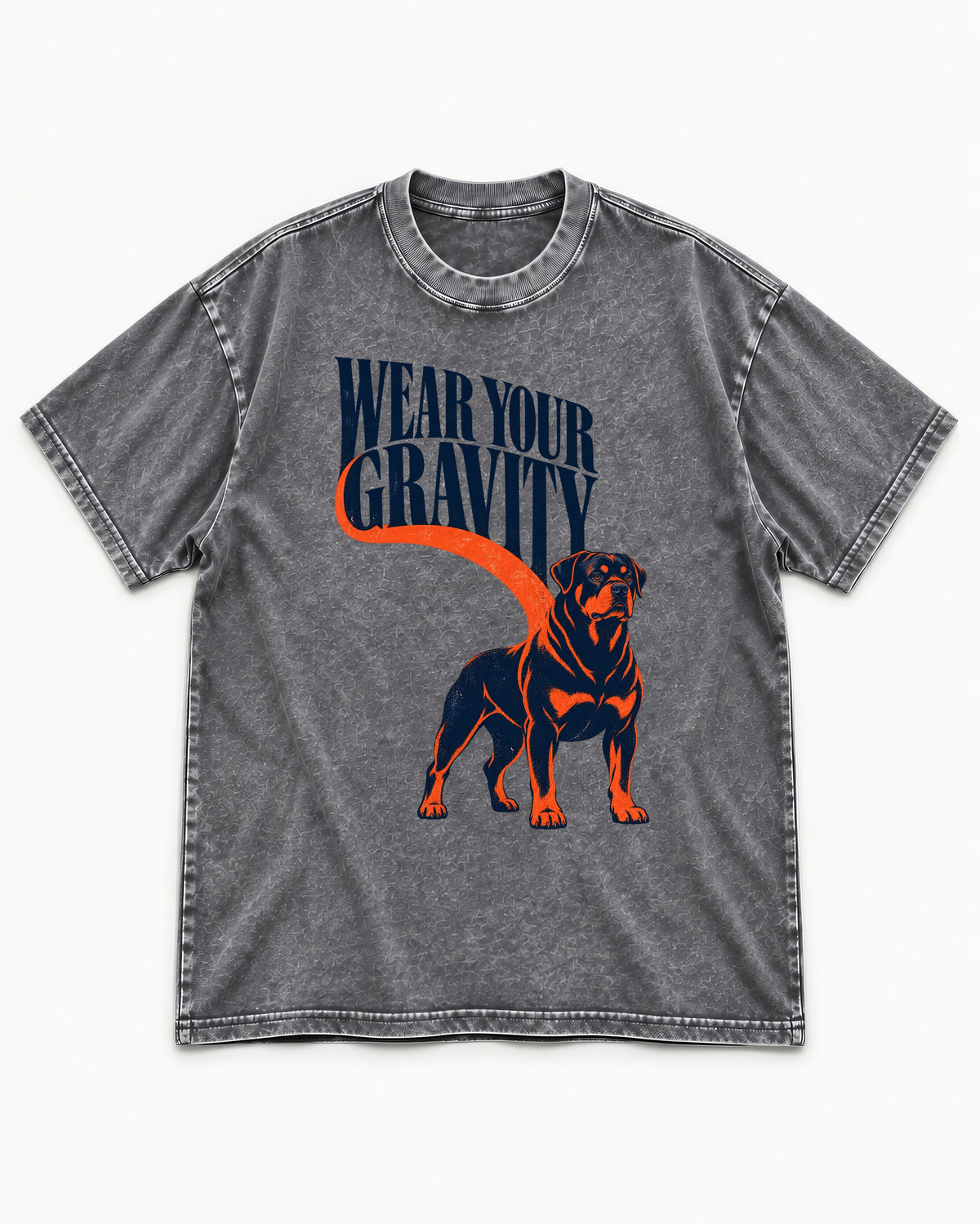 Wear Your Gravity Rottweiler Washed Tee in Gray, flat lay product photo