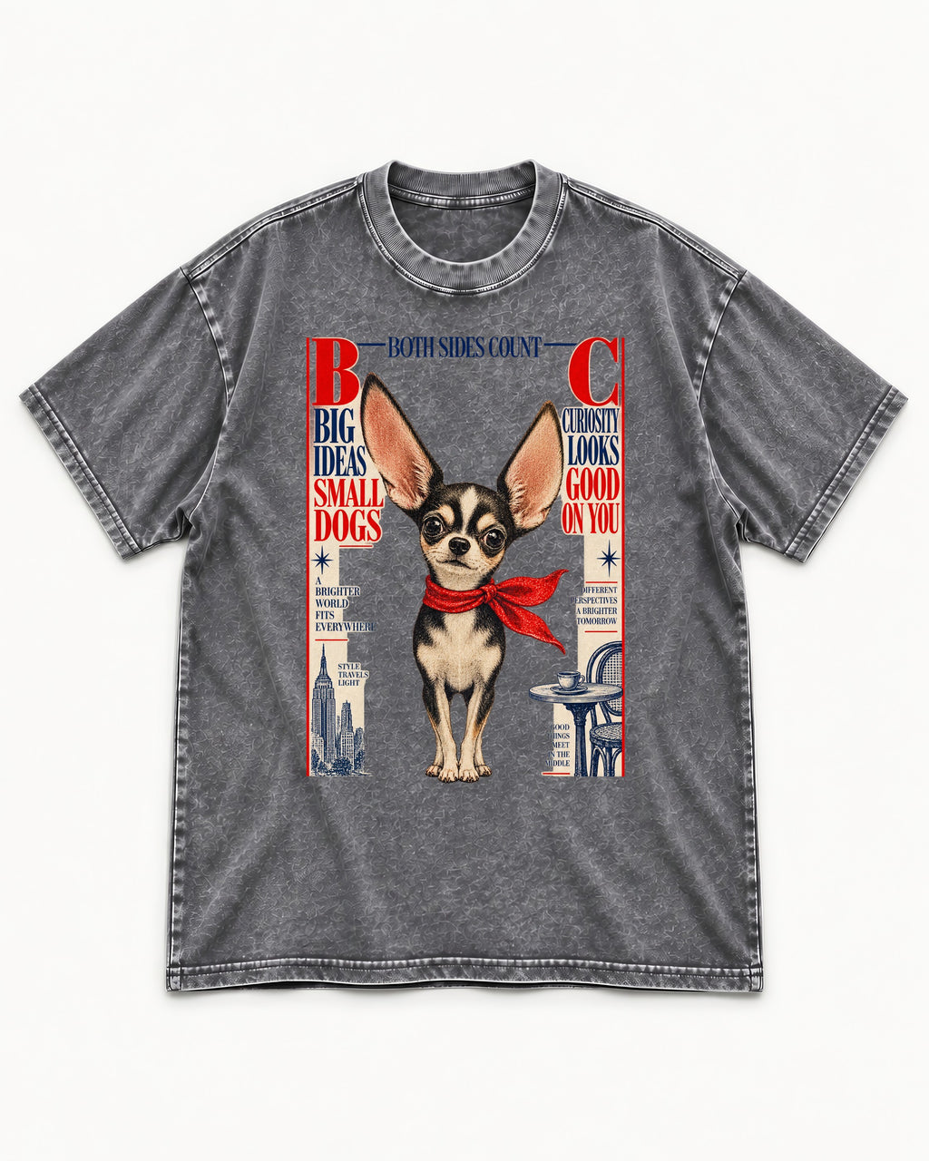 Chihuahua Big Ideas Washed Tee in Gray, flat lay product photo
