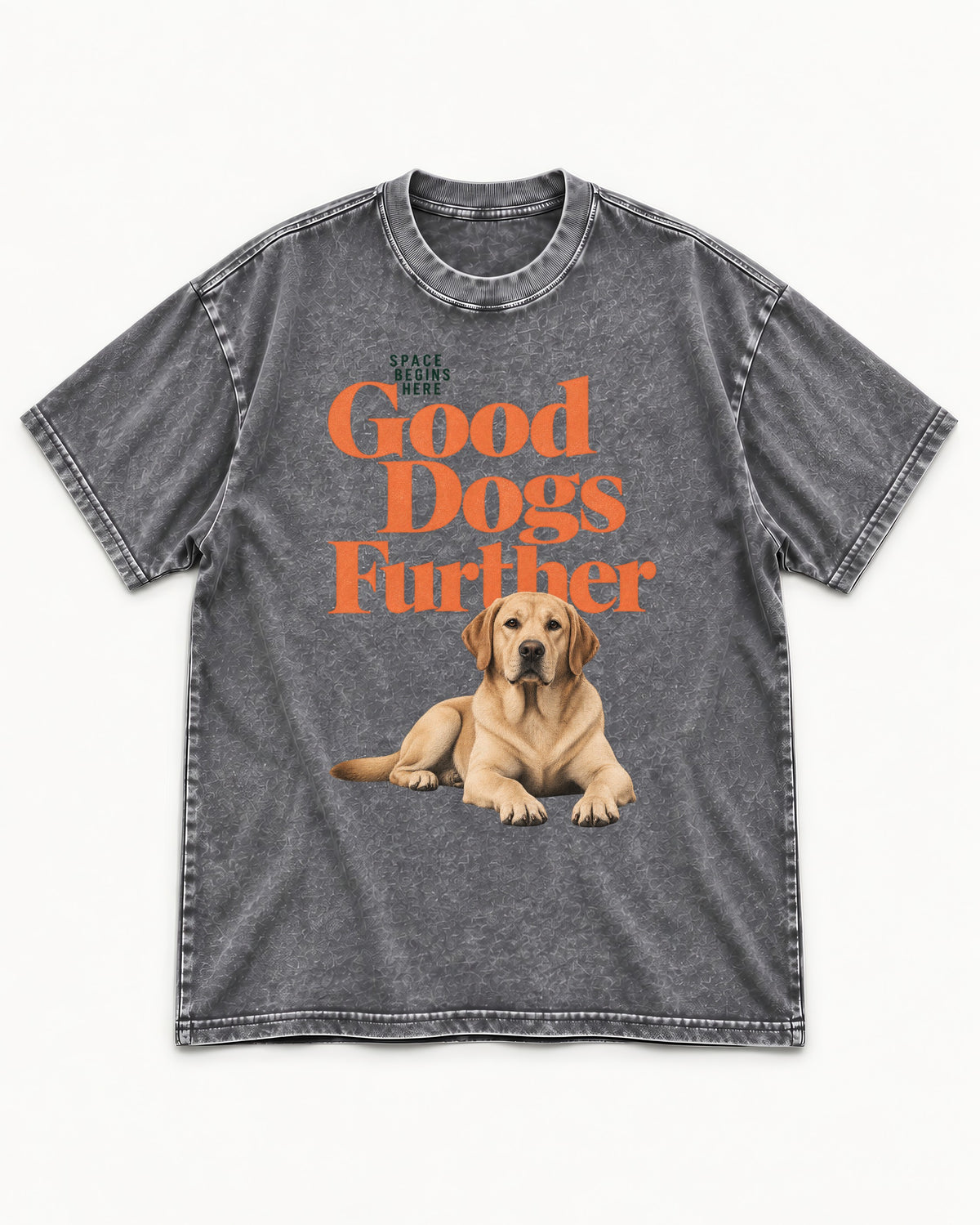 Good Labrador Retriever Goes Further Washed Tee in Gray, flat lay product photo