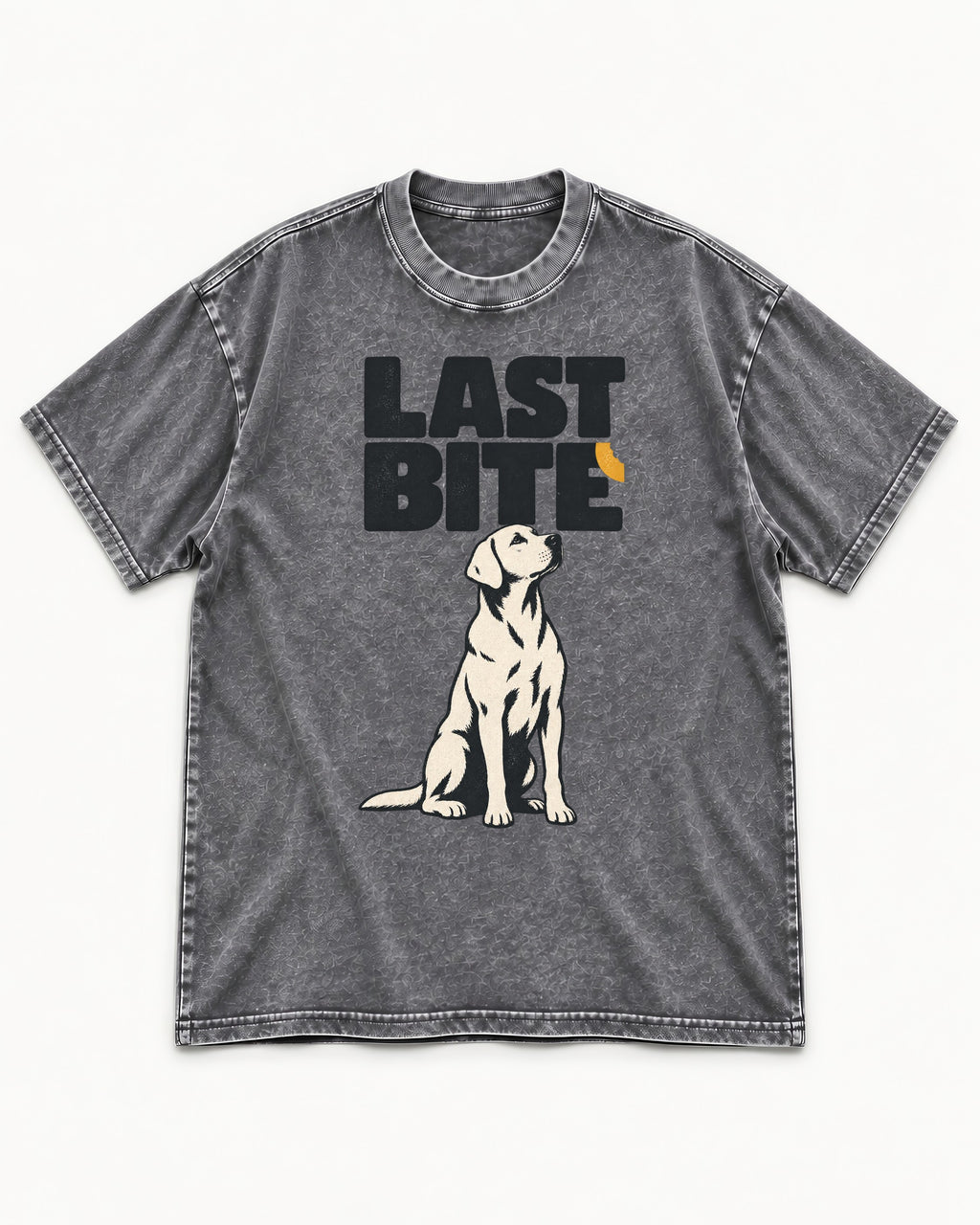 Labrador Retriever's Last Bite Washed Tee in Gray, flat lay product photo