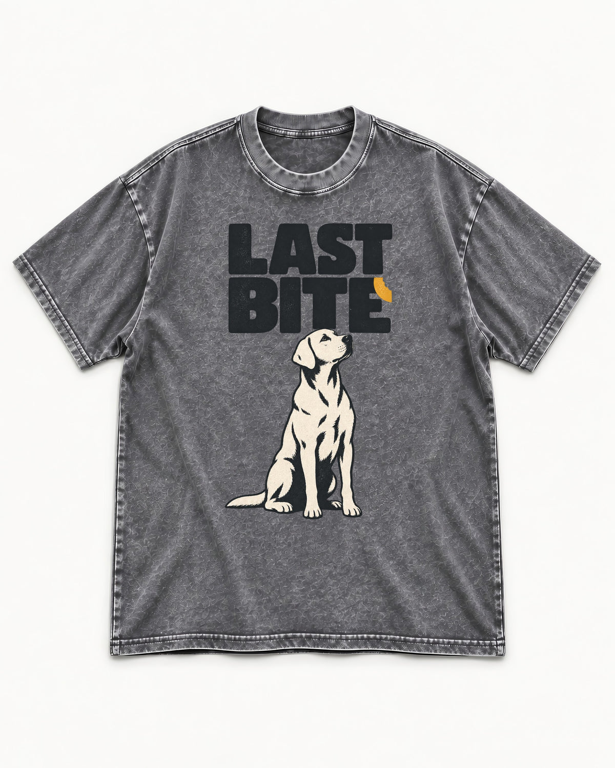 Labrador Retriever's Last Bite Washed Tee in Gray, flat lay product photo