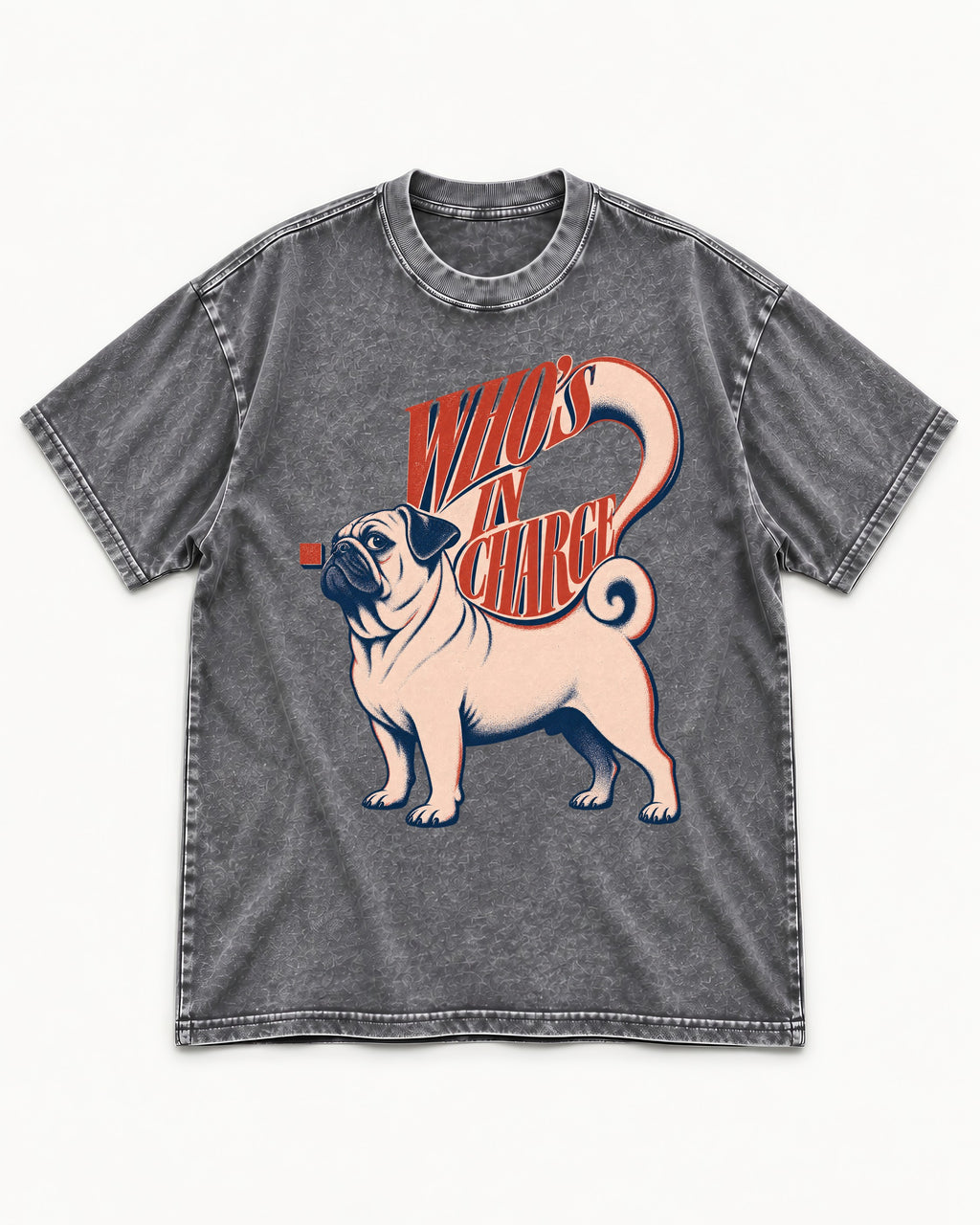 Pug In Charge Washed Tee in Gray, flat lay product photo