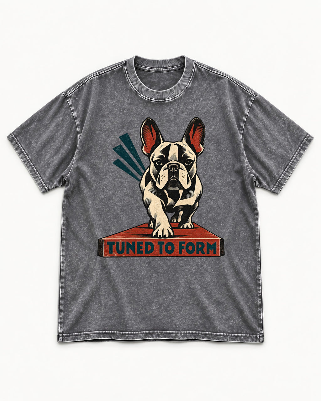 Frenchie Tuned to Form Washed Tee in Gray, flat lay product photo