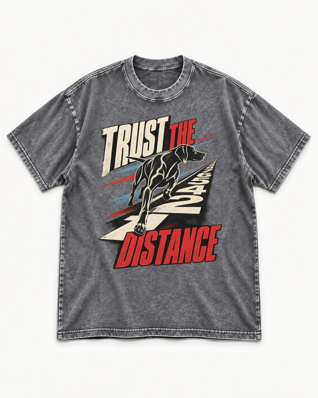 Trust the Distance German Shorthaired Pointer Graphic Washed Tee in Gray, flat lay product photo