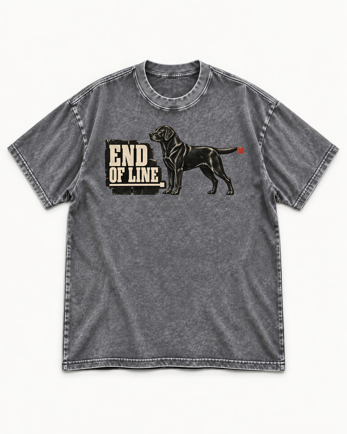 End of Line Labrador Retriever Washed Tee in Gray, flat lay product photo
