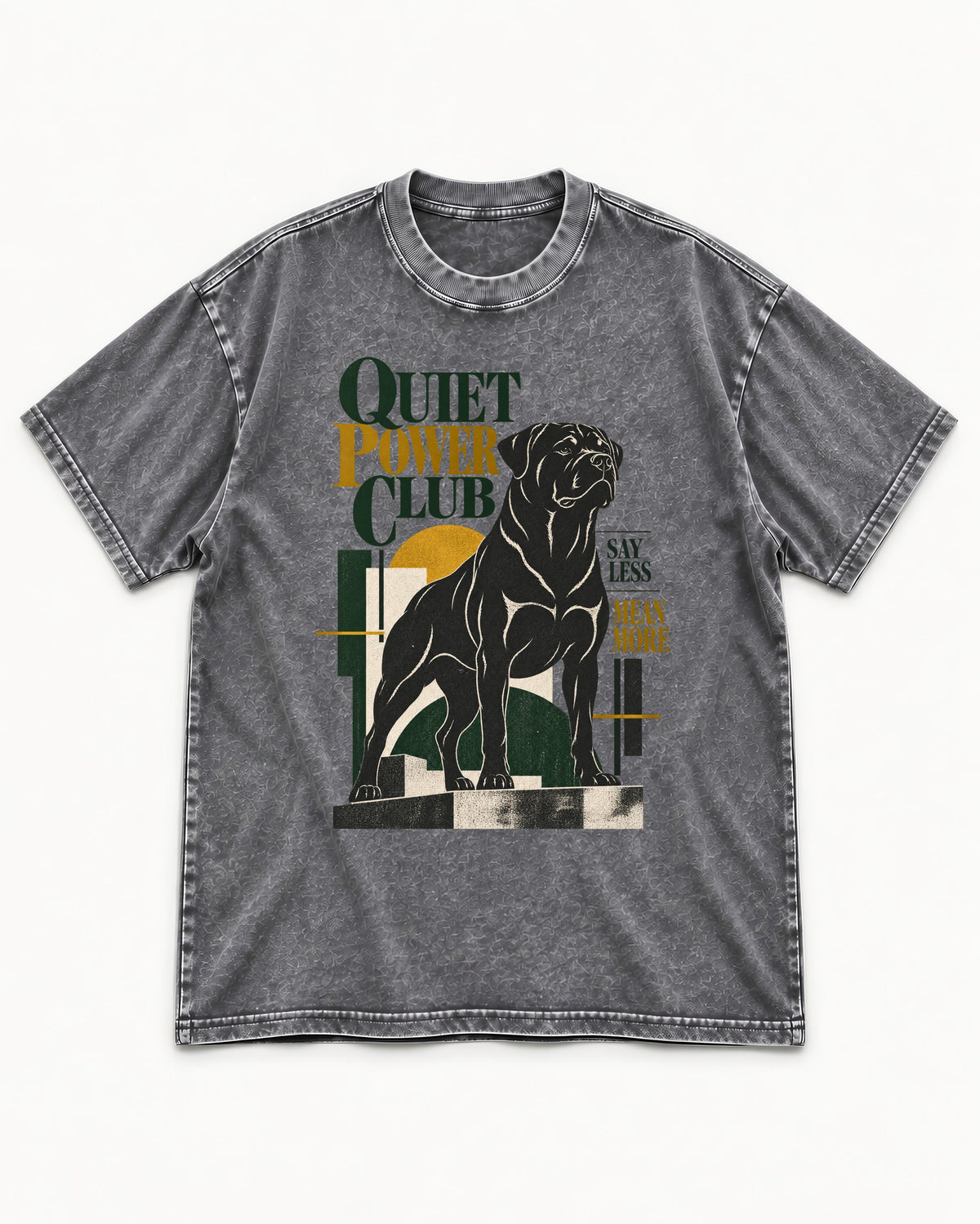 Rottweiler Quiet Power Club Washed Tee in Gray, flat lay product photo