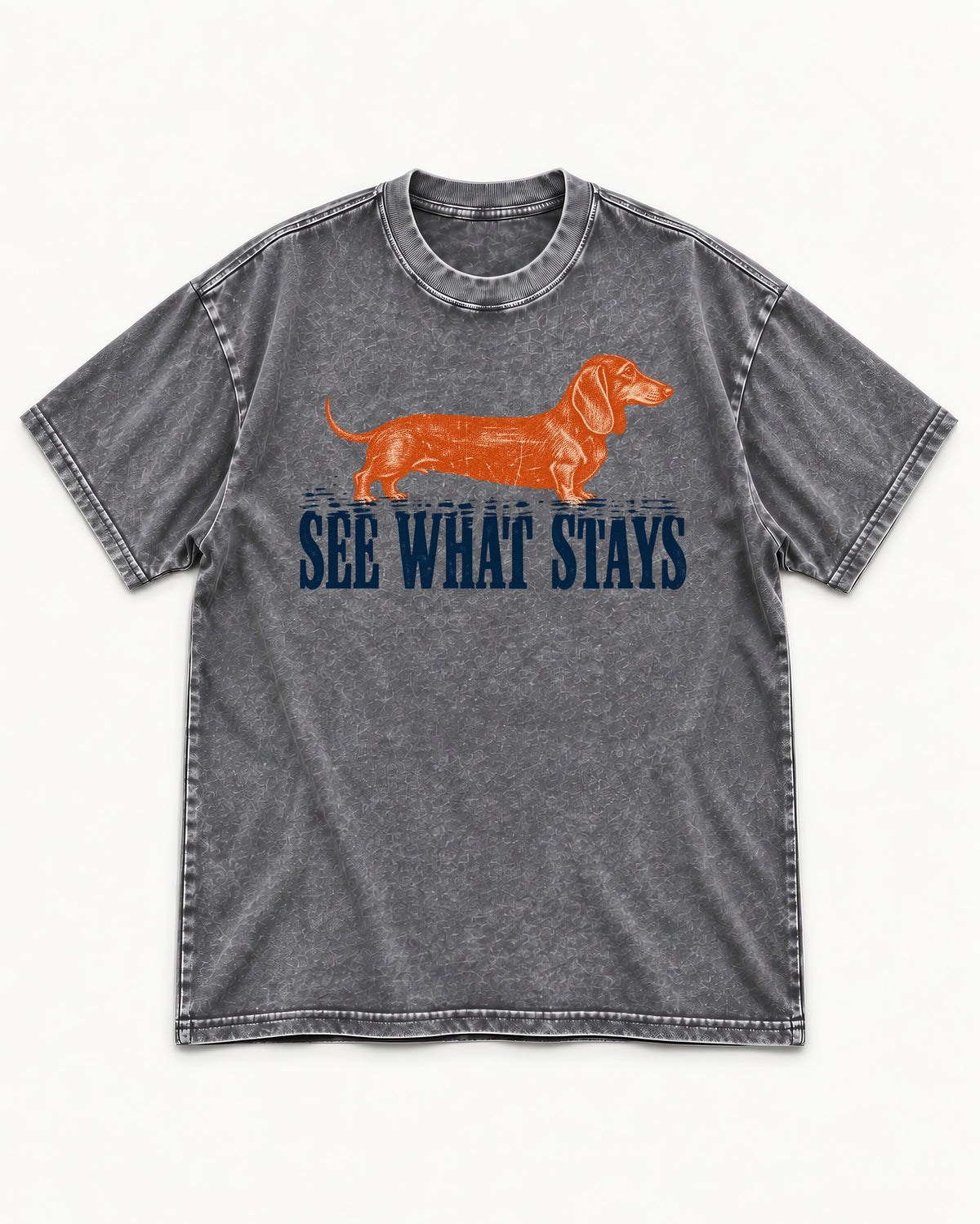 Dachshund See What Stays Washed Tee in Gray, flat lay product photo
