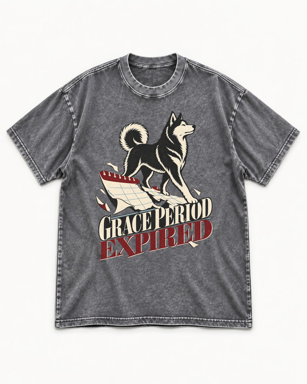Husky Grace Period Expired Torn Calendar Graphic Washed Tee in Gray, flat lay product photo