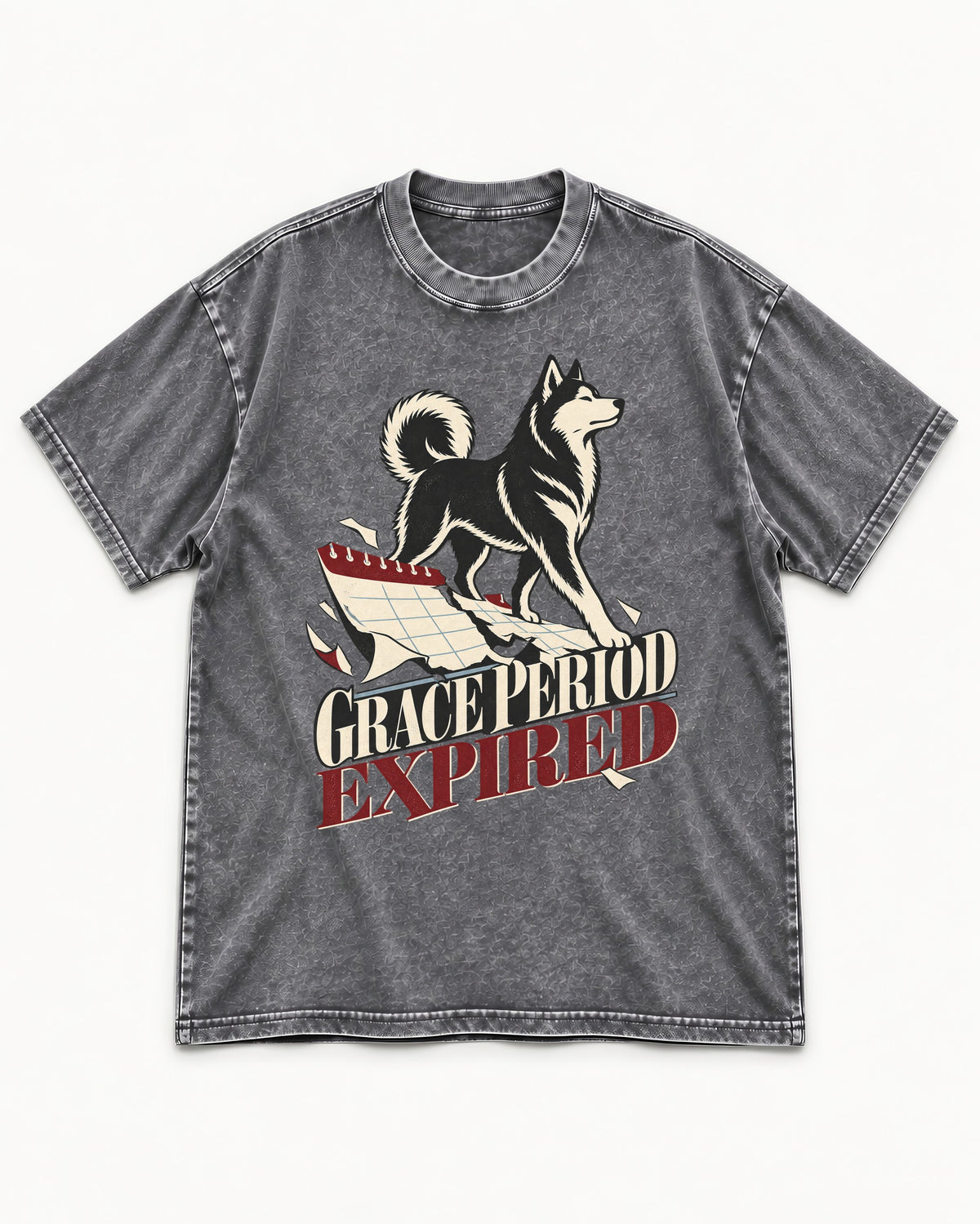 Husky Grace Period Expired Torn Calendar Graphic Washed Tee in Gray, flat lay product photo