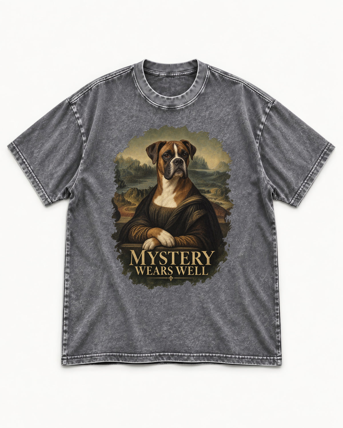 Mystery Wears Well Boxer Mona Lisa Portrait Washed Tee in Gray, flat lay product photo