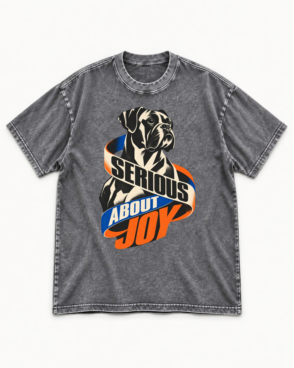 Boxer Serious About Joy Washed Tee in Gray, flat lay product photo